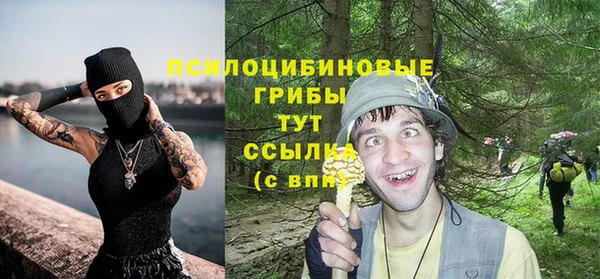 амф Костерёво