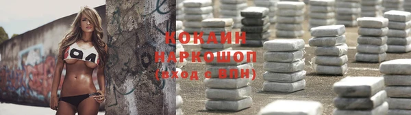 каннабис Корсаков