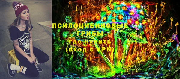 амф Костерёво