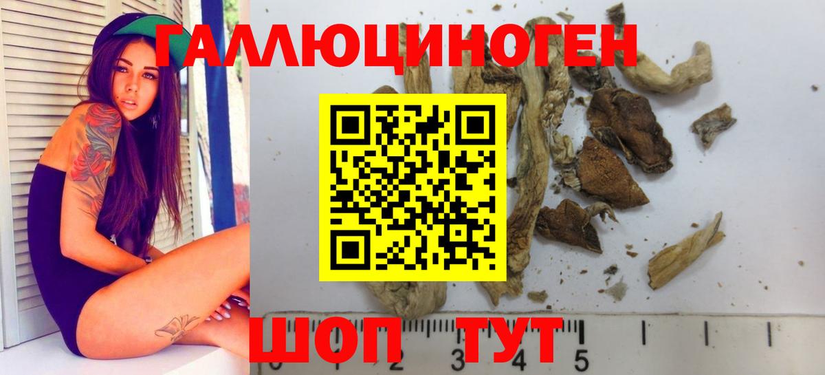 купить закладку  Галлюциногенные грибы Psilocybine cubensis  Вход с VPN  Красный Сулин  Галлюциногенные грибы GOLDEN TEACHER 